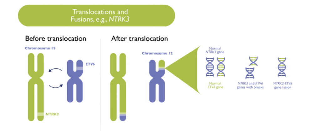 On NTRK and Other Fusion Biomarkers