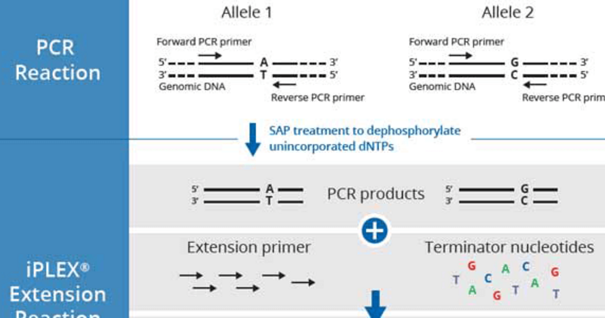 Single Nucleotide Polymorphism Detection With The IPLEX® Assay And The ...