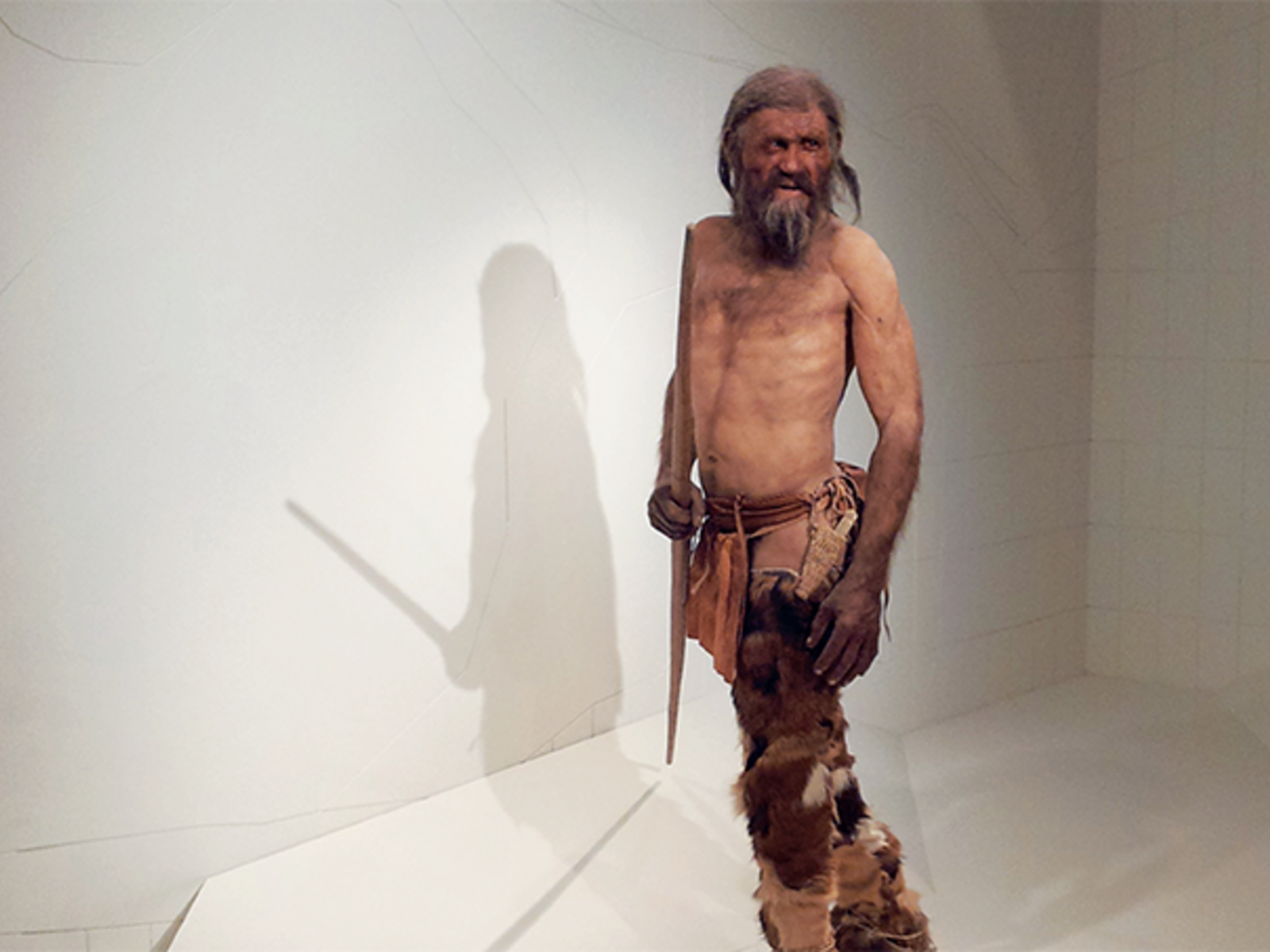 Genome sequencing unravels the mystery of Ötzi the Iceman