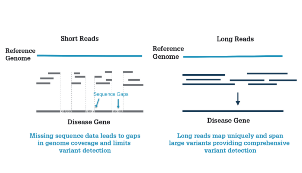 SMRT Long-Read Sequencing Solves Genetic Mysteries