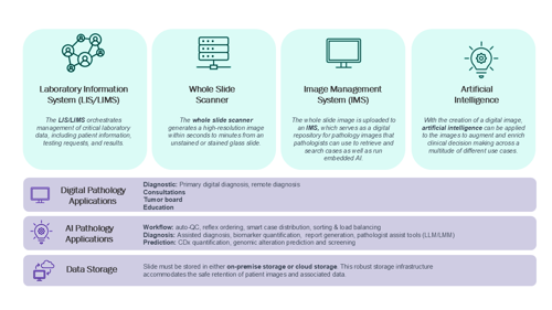 Learning the Language Figure 1.png