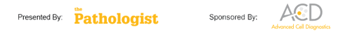 0115-801-webinar-sponsor.png