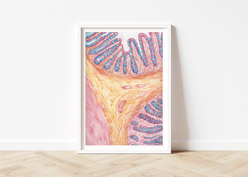 0624-401-Feature-Pathology-Captures_Leonie-Schon-Mockup-Intestine-In-Article.png