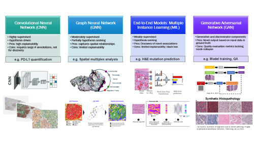 Learning the Language Figure 2.png